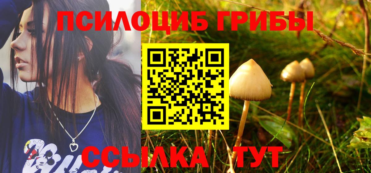 Псилоцибиновые грибы прущие грибы Ялта
